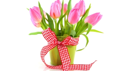 Fresh-flowers-pink-tulips-ribbon-vase_1920x1080